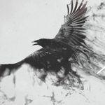 Image de profil de GauzHramm