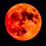 Image de profil de null