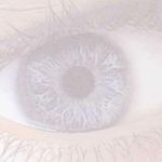 Image de profil de null