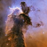 Image de profil de null