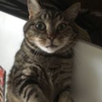 Image de profil de null