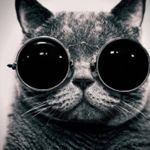 Image de profil de null
