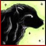 Image de profil de null