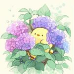 Image de profil de null