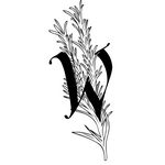 Image de profil de null