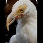Image de profil de null