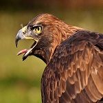 Image de profil de null