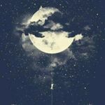 Image de profil de null