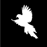 Image de profil de null