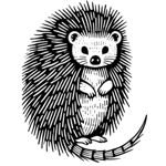 Image de profil de Azéroé C.