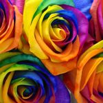 Image de profil de null