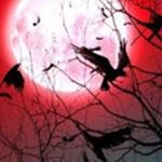 Image de profil de null