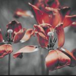 Image de profil de null