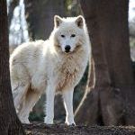 Image de profil de null