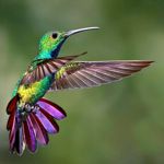 Image de profil de null