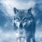 Image de profil de Richard Clayton