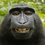 Image de profil de null