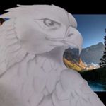 Image de profil de null
