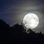 Image de profil de null
