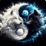 Image de profil de 1507431226086140