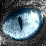 Image de profil de null