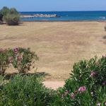 Image de profil de null