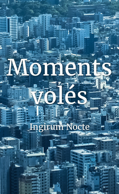 Image de couverture de Moments volés