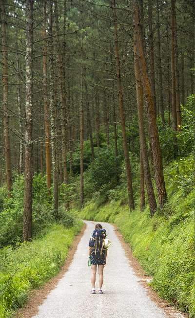 Image de couverture de A celle que j'ai été