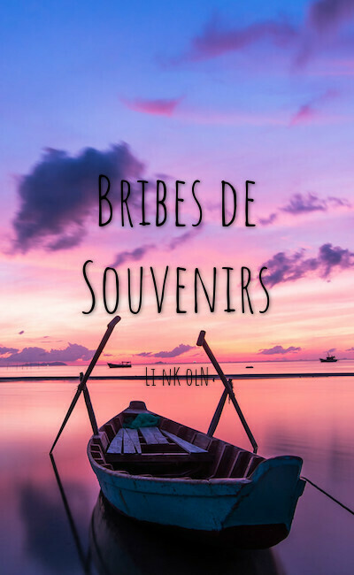 Image de couverture de Bribes de Souvenirs [MN - I&V]