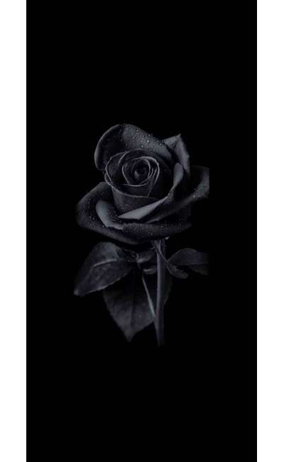 Image de couverture de Réponse à "Les sentiments"