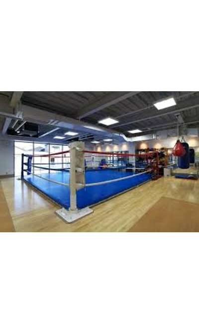 Image de couverture de Réponse à "Surprenez-moi"