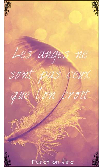 Image de couverture de Les anges ne sont pas ceux que l'on croit