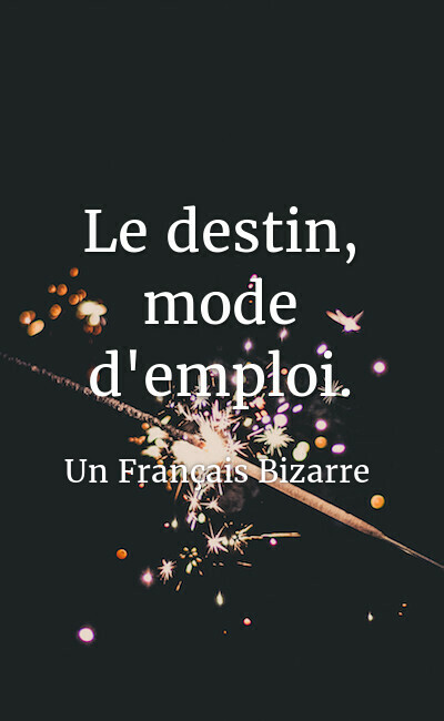 Image de couverture de Le destin, mode d'emploi.