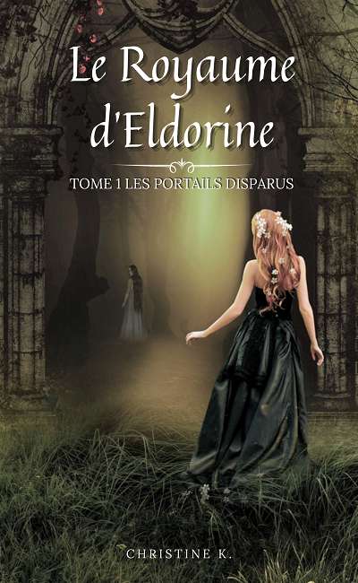 Image de couverture de Les portails disparus