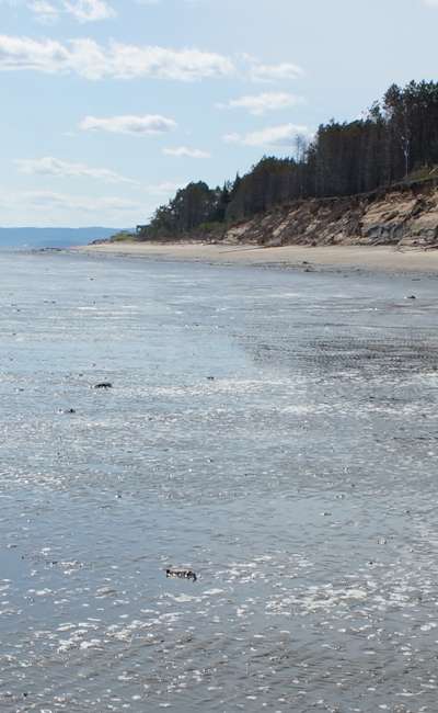 Image de couverture de Poèmes