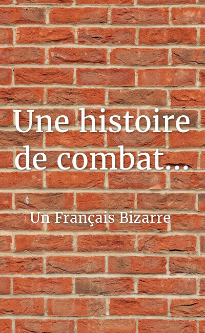 Image de couverture de Une histoire de combat...