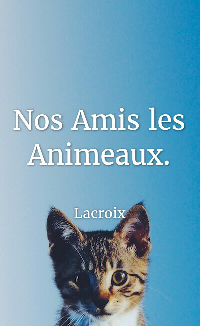 Image de couverture de Nos Amis les Animeaux.