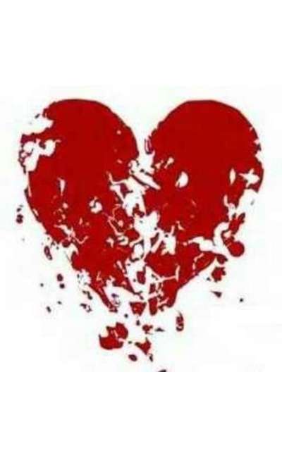 Image de couverture de l'amour en bref
