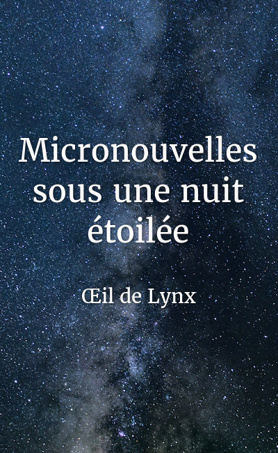 Image de couverture de Micronouvelles sous une nuit étoilée