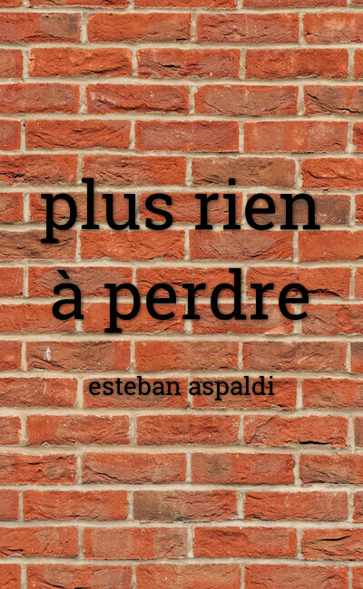 Image de couverture de plus rien à perdre