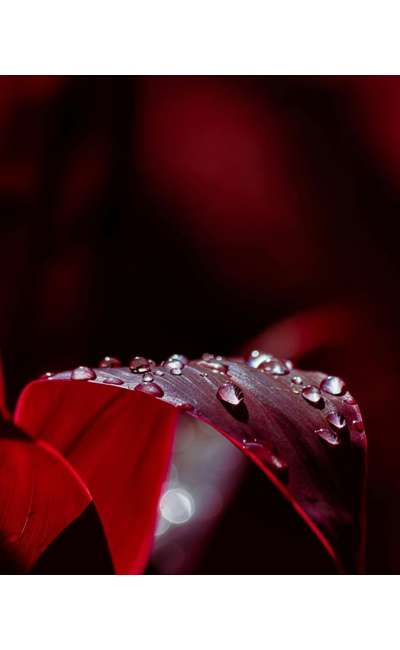 Image de couverture de Rien ne bouge