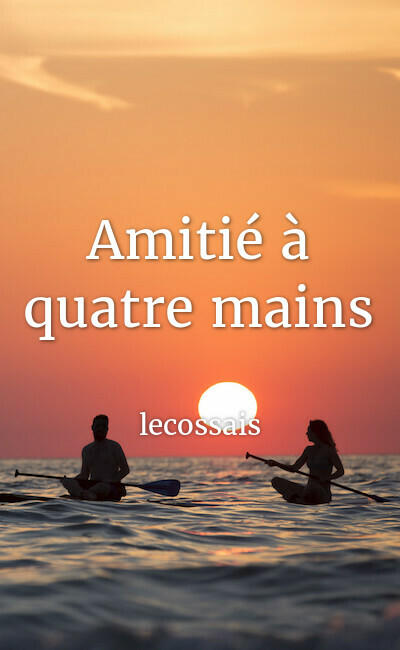 Image de couverture de Amitié à quatre mains