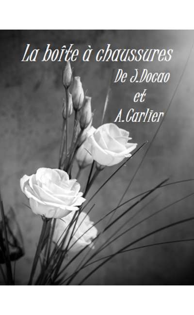 Image de couverture de La boîte à chaussure