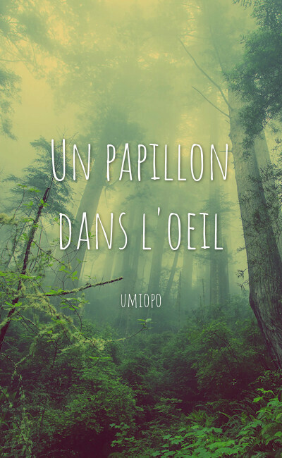 Image de couverture de Un papillon dans l'oeil