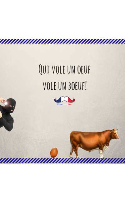 Image de couverture de Qui vole un oeuf, vole un boeuf