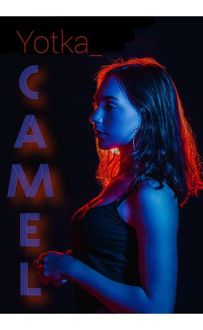 Image de couverture de Camel