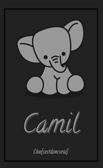 Image de couverture de Camil.