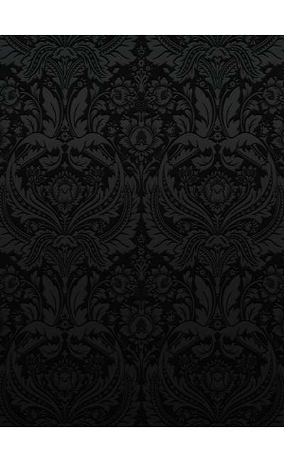 Image de couverture de (In)sanitarium