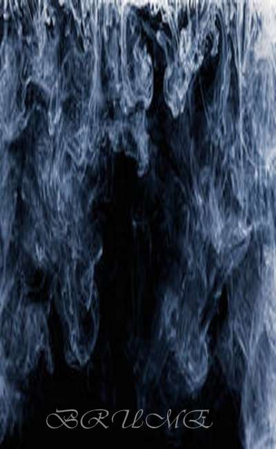 Image de couverture de Brume