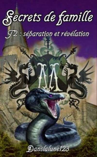 Image de couverture de Secrets de famille Tome 2 Séparation et Révélation